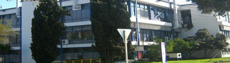 facultad