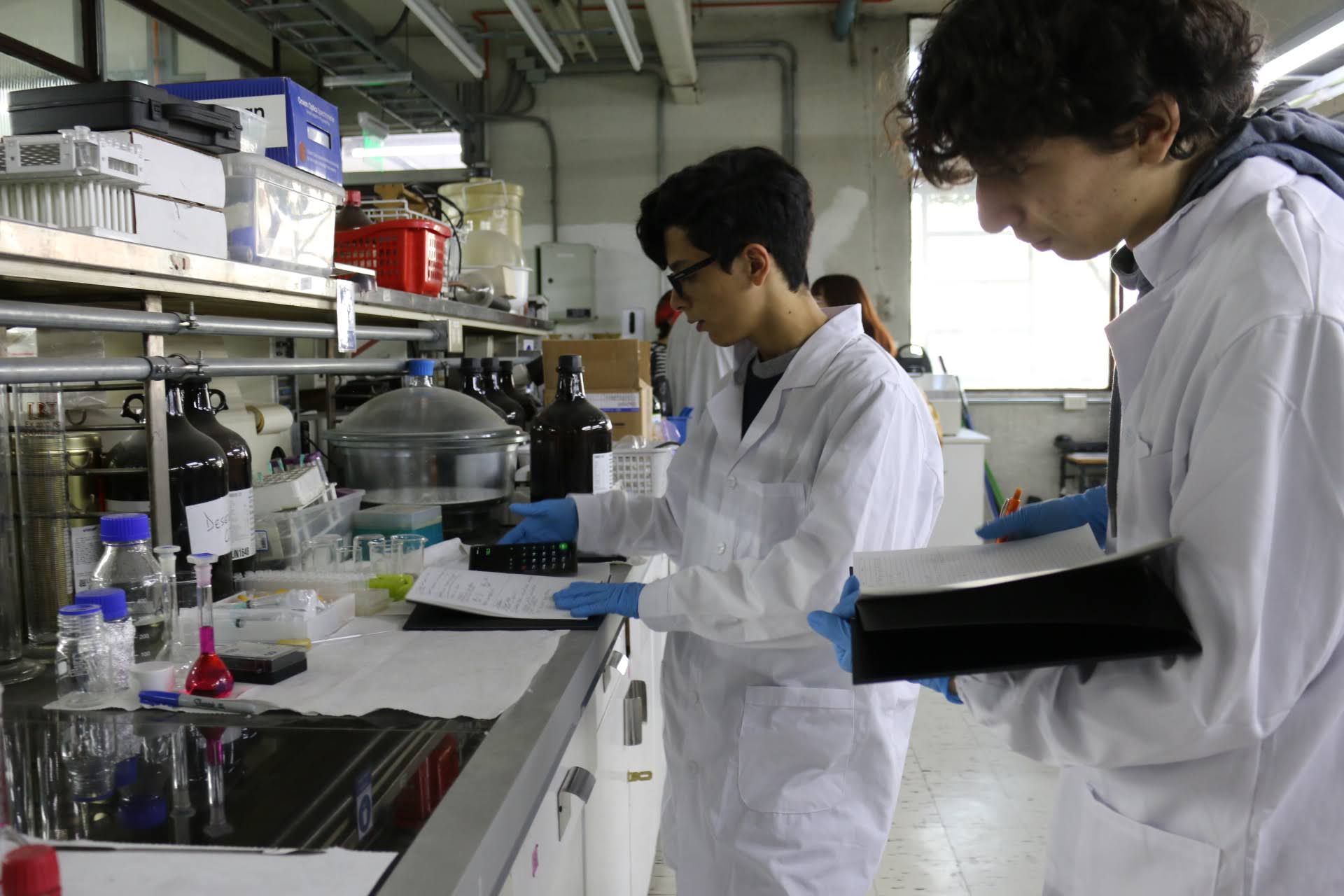 imagen Colegio Alexander Fleming y Facultad de Química y Biología promueven la investigación escolar a través del programa de pasantías