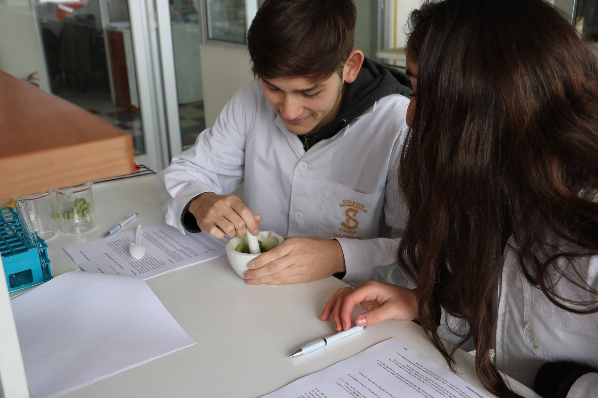 imagen Facultad de Química y Biología y PAR Explora de Conicyt Sur Poniente organizan actividad para estudiantes durante vacaciones de invierno