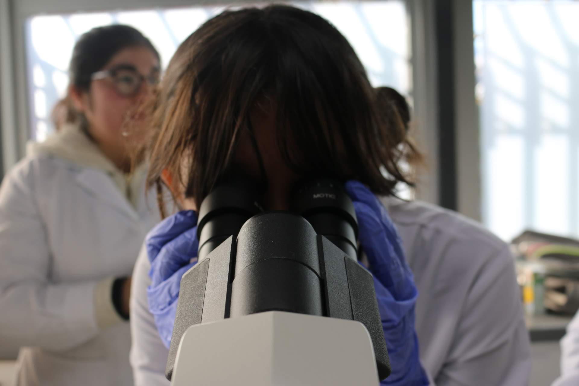 imagen “Vacaciones con Ciencia” despierta el interés en las ciencias en niñas, niños y estudiantes