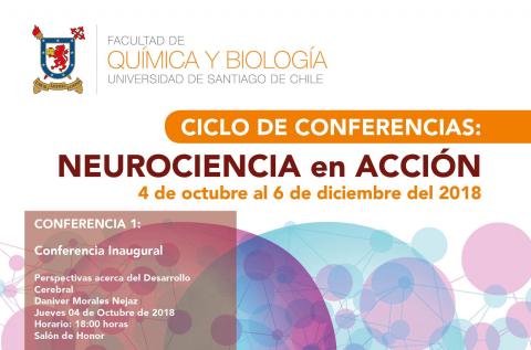 imagen “La idea es generar una vinculación con una comunidad interesada en la neurociencia y, a la vez, darle mayor visibilidad al área de neurociencia de la Universidad de Santiago”