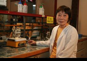 Investigación de algas magallánicas permitirá avances en biomedicina