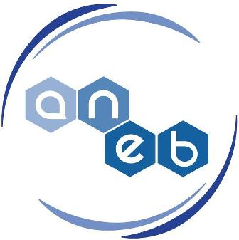 ANEB y USACH preparan actividad científica destinada a colegios vulnerables