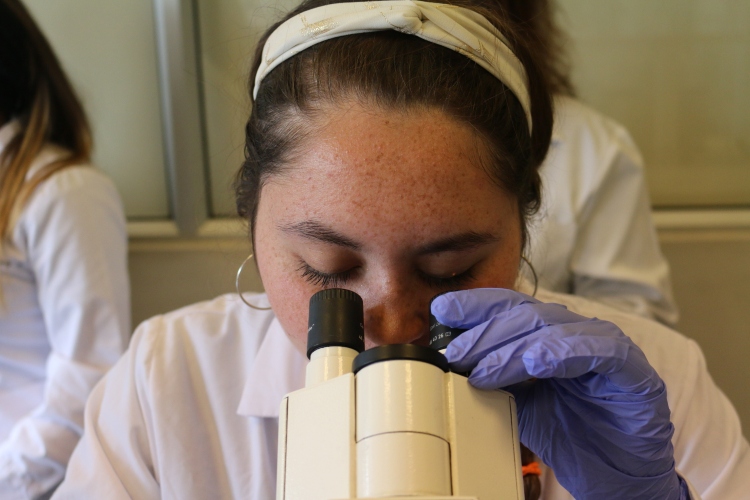 Licenciatura en Bioquímica y Doctorado en Biotecnología fortalecen vinculación entre programas