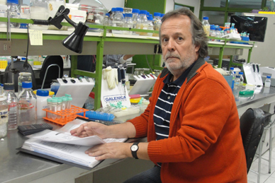 Investigador de Facultad de Química y Biología estudia bacterias antárticas resistentes a tóxicos