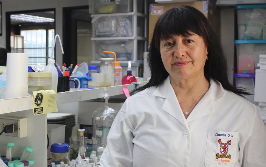 Dra. Ortíz: “La diversidad de miradas es fundamental para enriquecer la ciencia” 