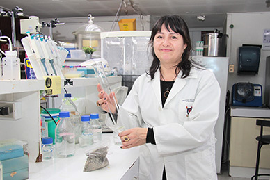 imagen Investigadores crean solución para controlar contaminación provocada por relaves mineros