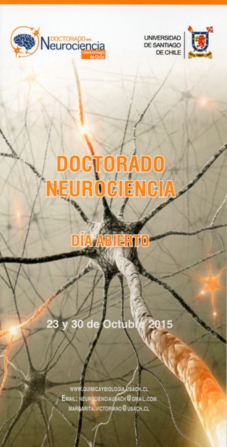 Doctorado en Neurociencia prepara atractiva actividad para sus futuros postulantes