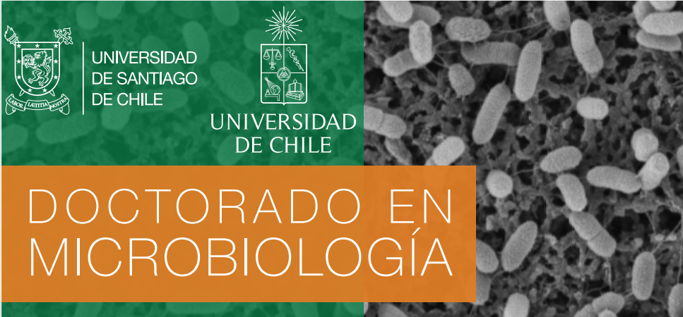 Doctorado Conjunto en Microbiología retoma su proceso de Acreditación en modalidad remota