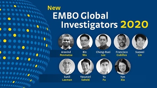 imagen Investigador de U. de Santiago fue reconocido por la Organización Europea de Biología Molecular
