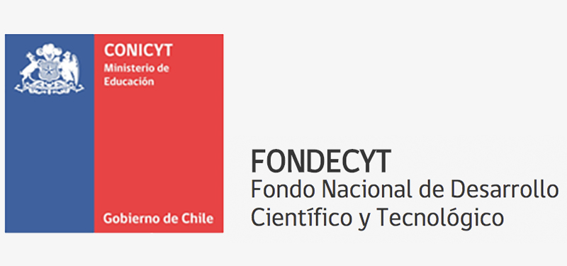 imagen Destacado aumento en adjudicación de investigadoras refleja resultados de Concurso Fondecyt Regular 2020