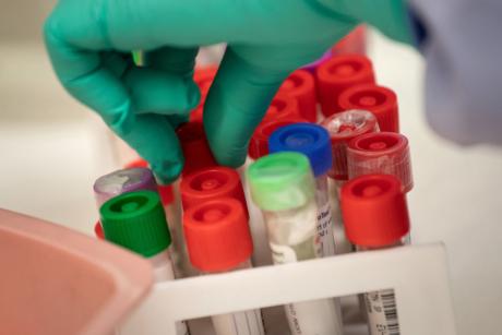 imagen Doctorado en Biotecnología califica de “exitoso” proceso de admisión 2021