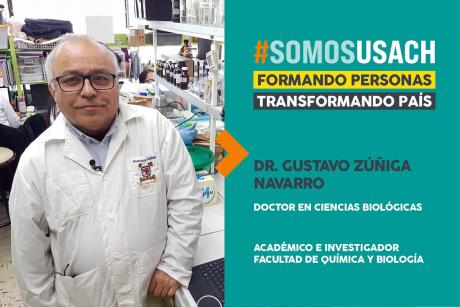 imagen Dr. Gustavo Zúñiga, doctor en Ciencias Biológicas y académico de la Facultad de Química y Biología: “Sin investigación no hay Universidad”