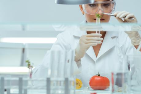 imagen Tecnología patentada: Desarrollo de fungicida ayuda a controlar hongo en cultivos agrícolas orgánicos