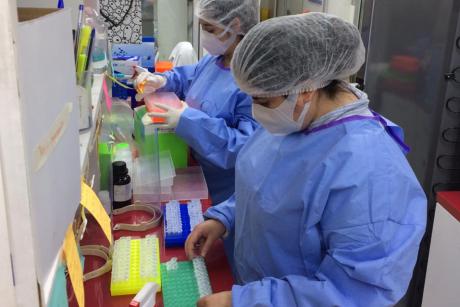 imagen U. de Santiago incrementa capacidad de diagnóstico COVID-19 con incorporación de nuevo laboratorio