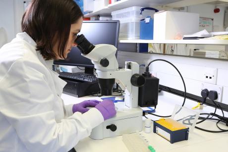 imagen U. de Santiago respalda a la red de salud del país mediante ejes de colaboración científica y tecnológica
