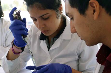 Química y Farmacia refuerza actividades prácticas en laboratorios para los últimos niveles de la carrera