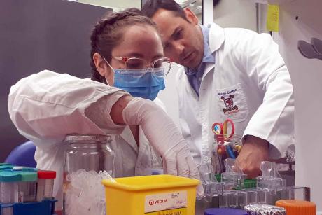 imagen Colaboración entre la Usach y empresa Veterquímica logra desarrollo de vacuna que combatirá mortal virus en peces