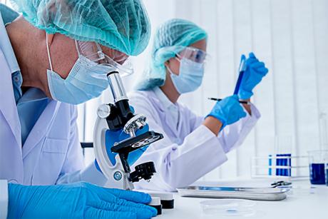 Investigación aporta a la industria acuícola con innovadora formulación que aumenta niveles de sanidad en peces