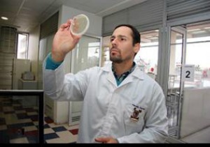 imagen Industria porcina se beneficia con vacuna ideada en el Plantel