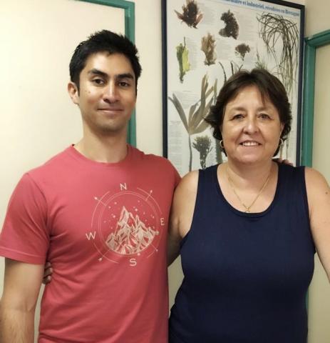 imagen Estudios bioquímicos y moleculares mostraron que la macroalga marina Ulva compressa (Chlorophyta) acumula cobre a nivel intracelular mediante la síntesis de glutatión y fitoquelatinas y la sobrexpresión de metalotioneinas.
