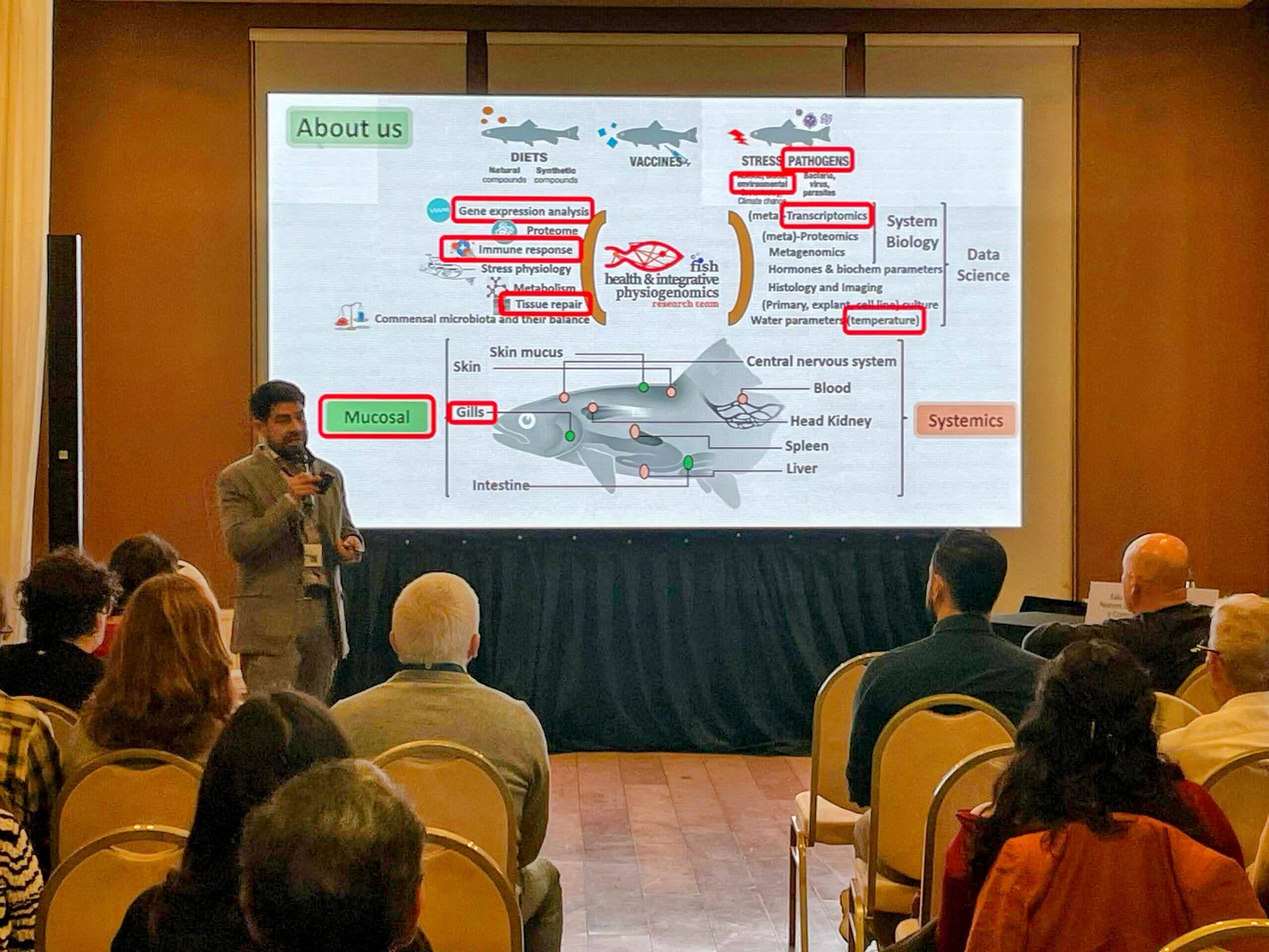 imagen Hallazgos de investigador Usach abre nuevas rutas para mejorar la salud en salmones afectados por Enfermedad Branquial Compleja