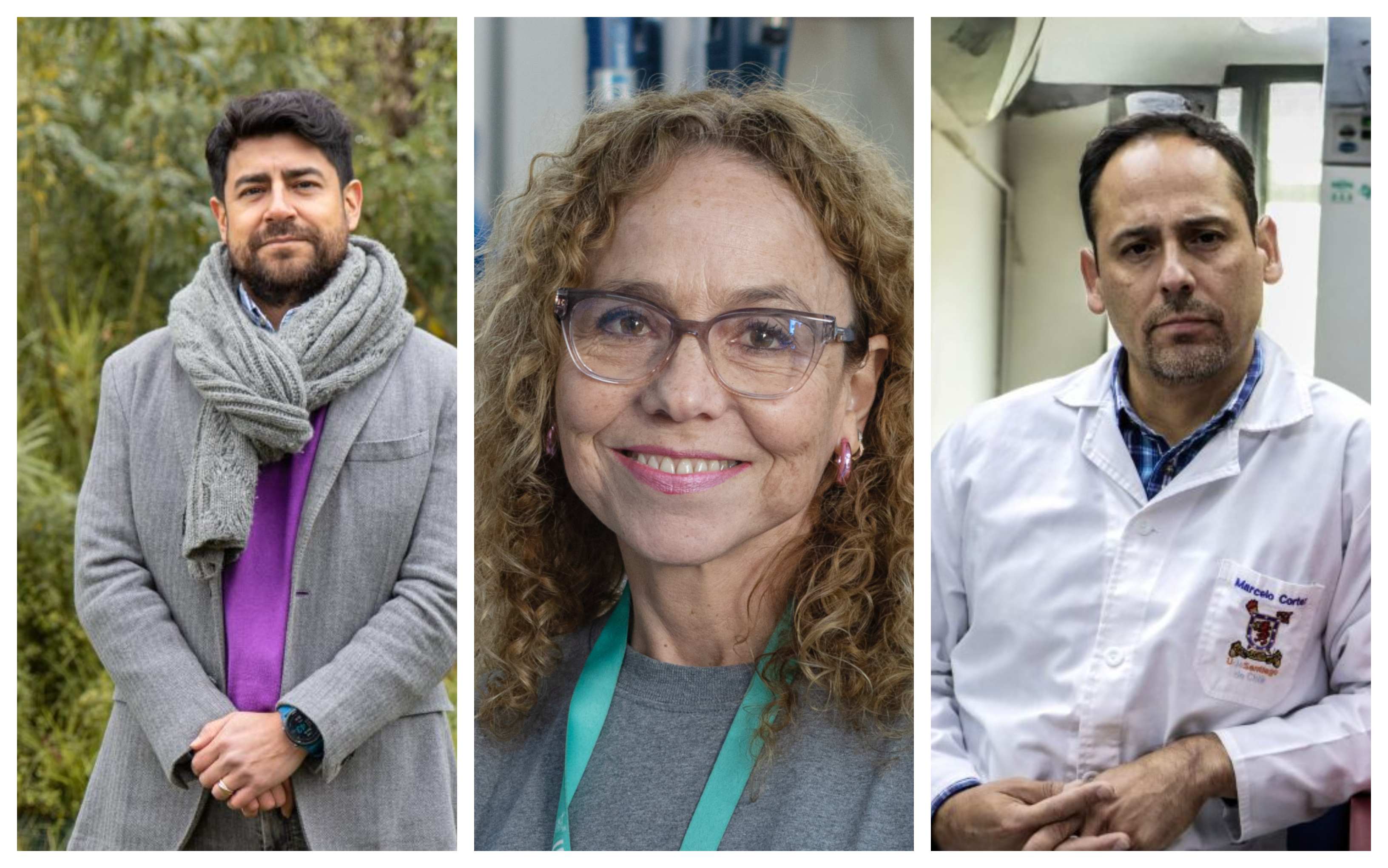 Investigadores de la Facultad de Química y Biología integran grupo de estudio de Fondecyt en Salud y Producción Animal