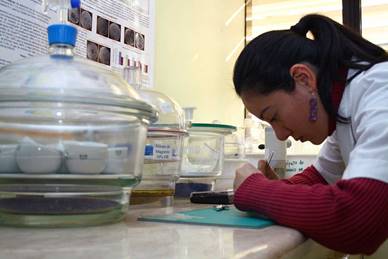 U. de Santiago adjudica 12 proyectos I Etapa Cuarto Concurso de Valorización de la Investigación en la Universidad 