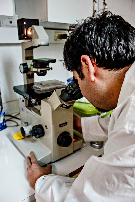 Universidad se adjudica recursos para adquirir Equipamiento Científico y Tecnológico Mediano