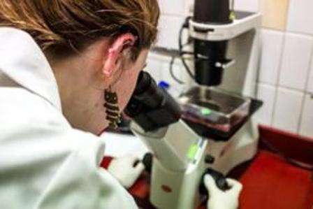 Universidad se adjudica más de 571 millones de pesos para equipamiento científico