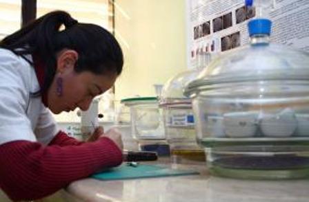 Fondef convoca a tesistas de pre y postgrado para postular proyectos innovadores a Concurso VIU