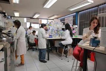 Convocan a segunda versión de concurso Dicyt Asociativos que promueve la investigación interdisciplinaria