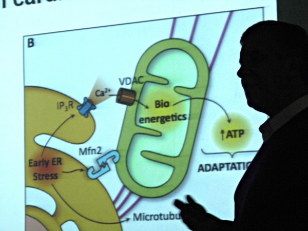 "Sería súper positivo incorporar a gente de la Facultad de Química y Biología de la U. de Santiago"