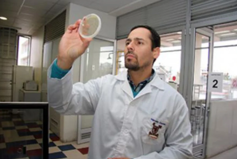 imagen Usach aporta a la industria acuícola con innovadora vacuna que controla patógeno PRV en salmones