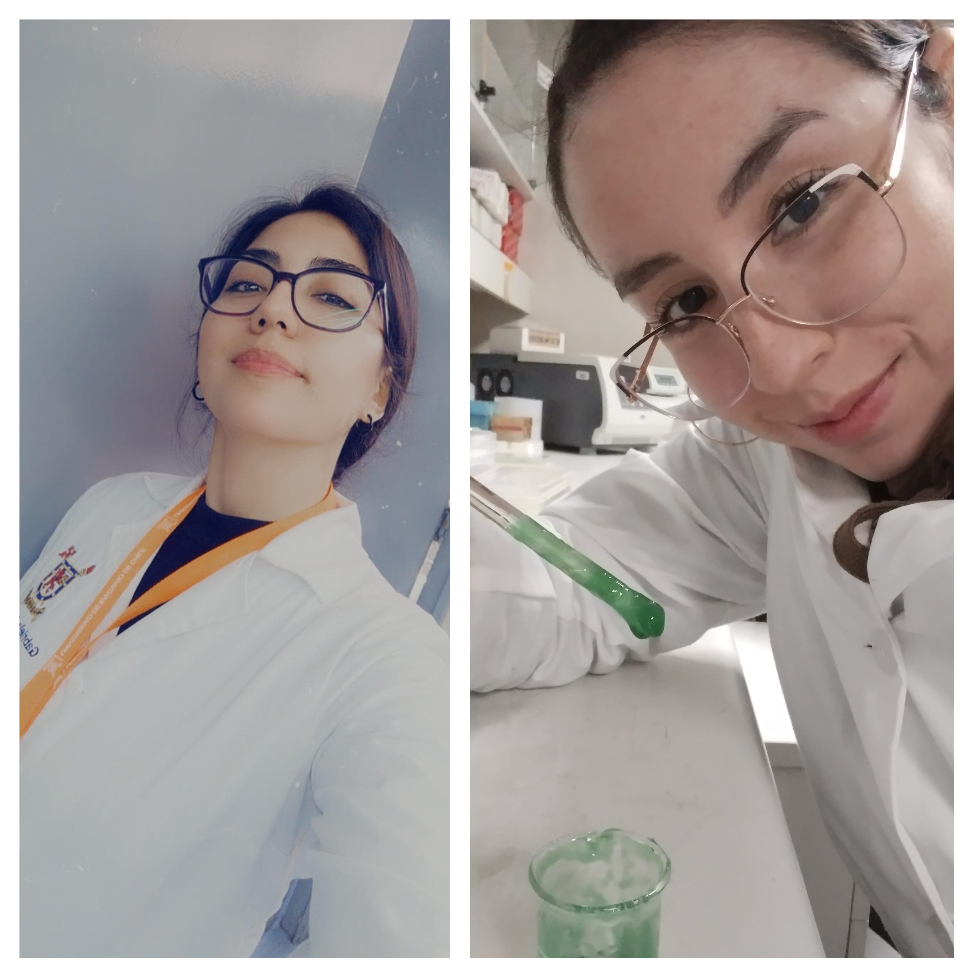 imagen Estudiantes de Química y Farmacia ganan concurso “Historias de Ciencia Chilena 2023”