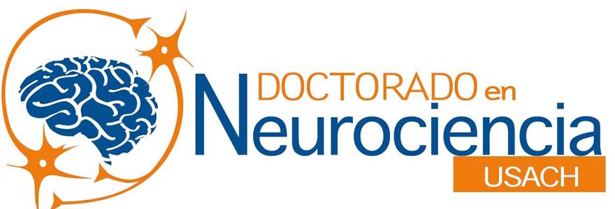 imagen Doctorado en Neurociencia acreditado por seis años