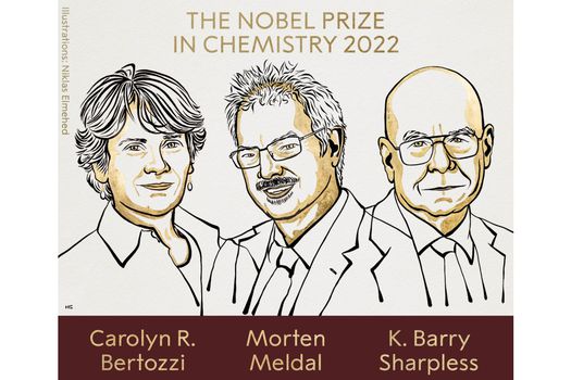 imagen El Premio Nobel de Química 2022 es para pioneros de la era del funcionalismo en química