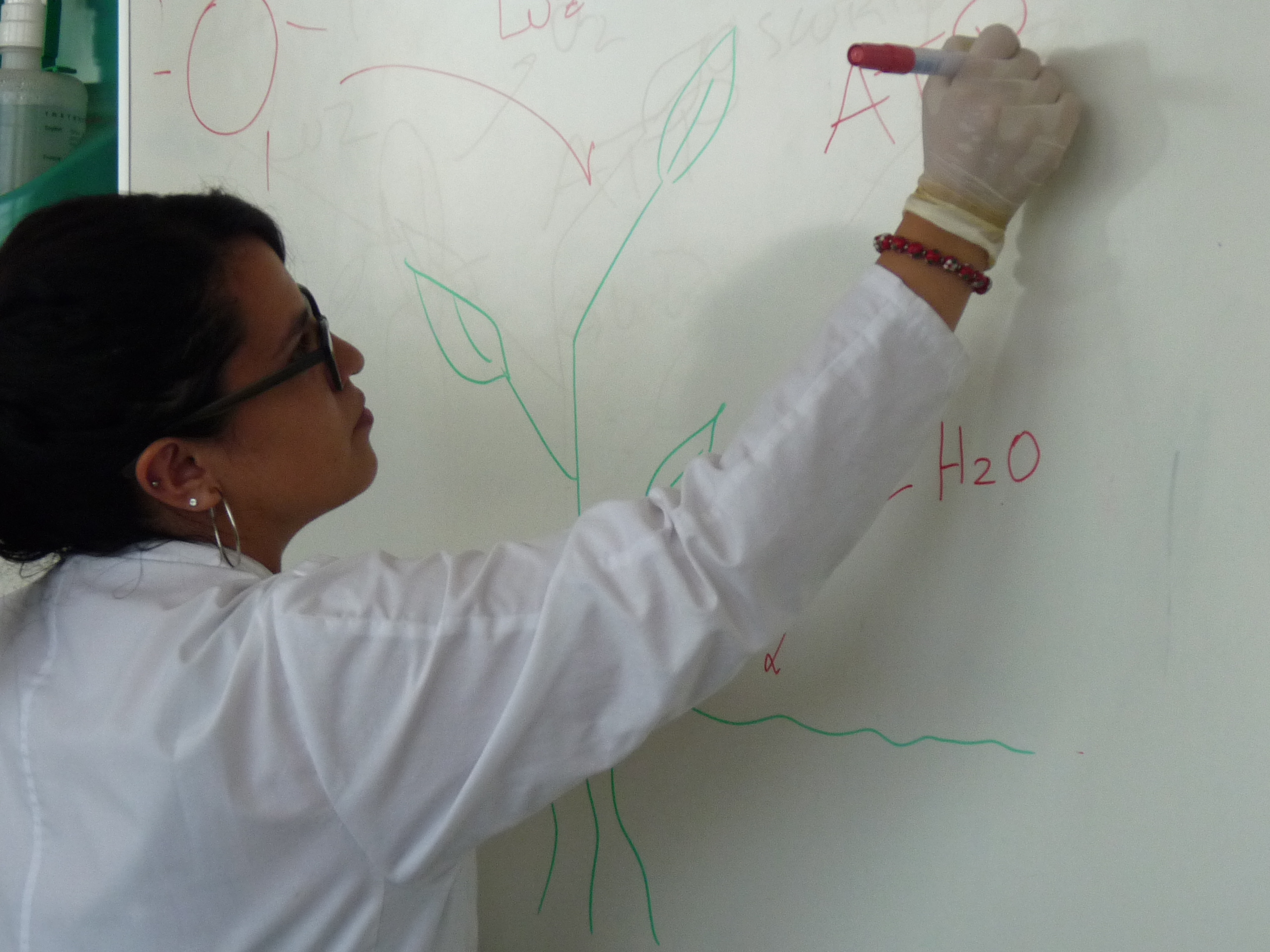 Proceso de acreditación de Pedagogía en Química y Biología culmina redacción de informe de autoevaluación