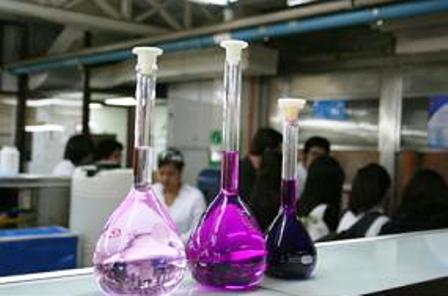 Grupo interdisciplinario estudia enzima relacionada con la depresión