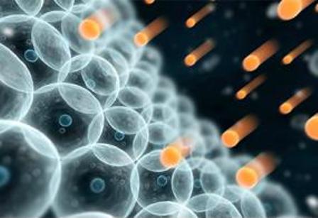 Investigador de la Facultad de Química y Biología estudia daño intracelular producido por radicales libres