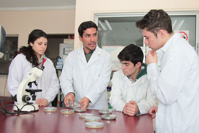 imagen Experto en educación llama a “dejar la clase tradicional” para la enseñanza de la ciencia
