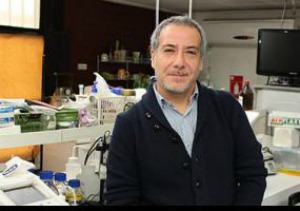 imagen Experto advierte el riesgo de la sobrexplotación de las pesquerías del país  