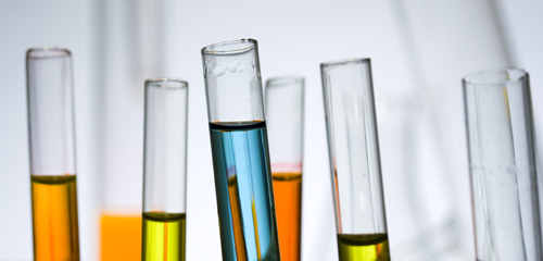 Bioquímicos e investigador de la Facultad de Química y Biología premiados en Congreso de Microbiólogos Europeos