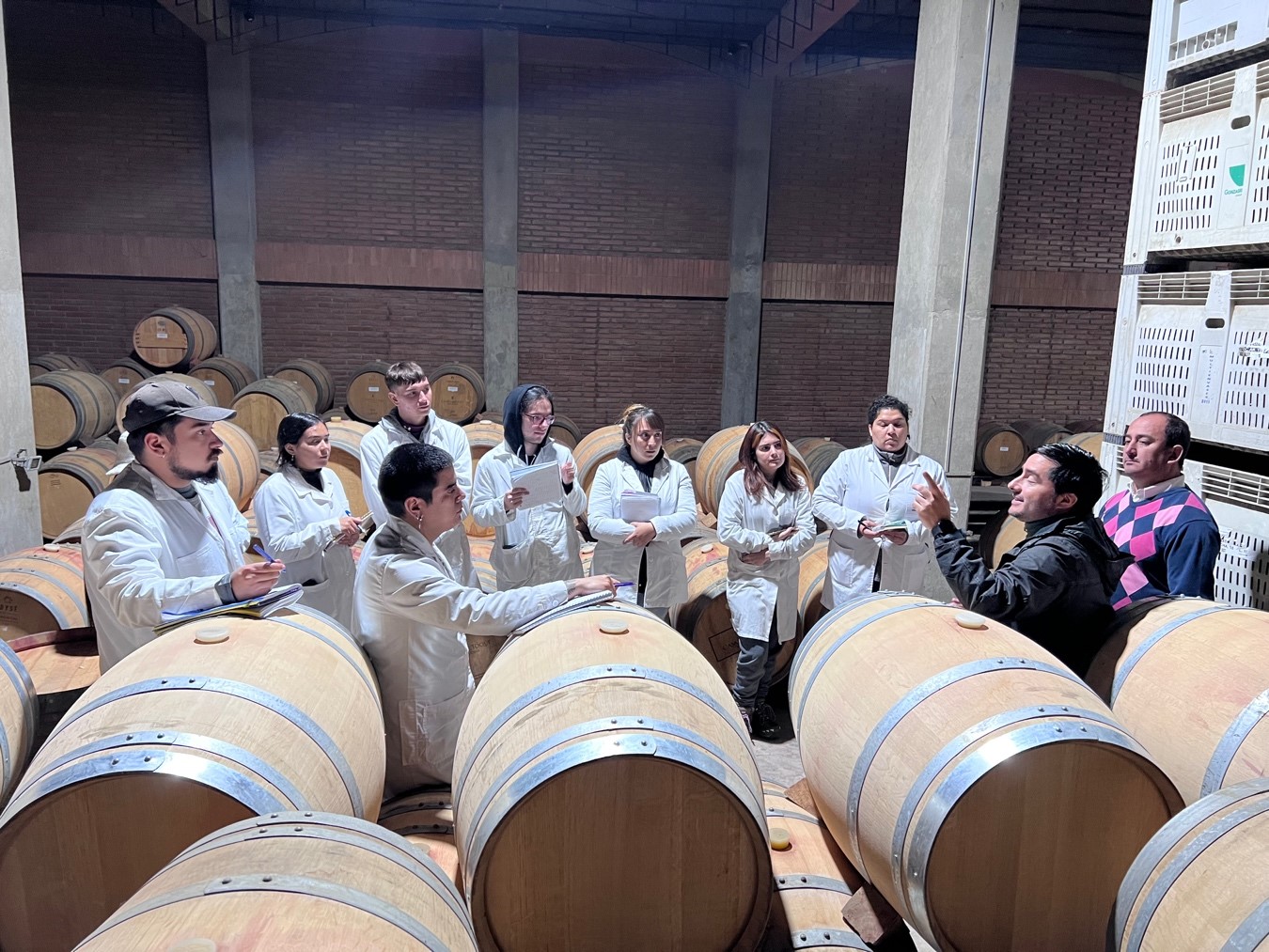 imagen Viña Casas del Toqui recibe a estudiantes del TUAQF para poner en práctica lo aprendido en temas de prevención de riesgos en sistemas productivos