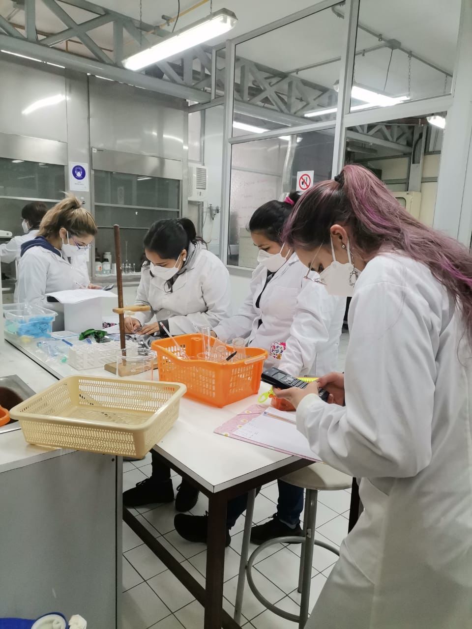 Facultad de Química y Biología evalúa positivamente retorno gradual de estudiantes, profesores/as y funcionarios/as