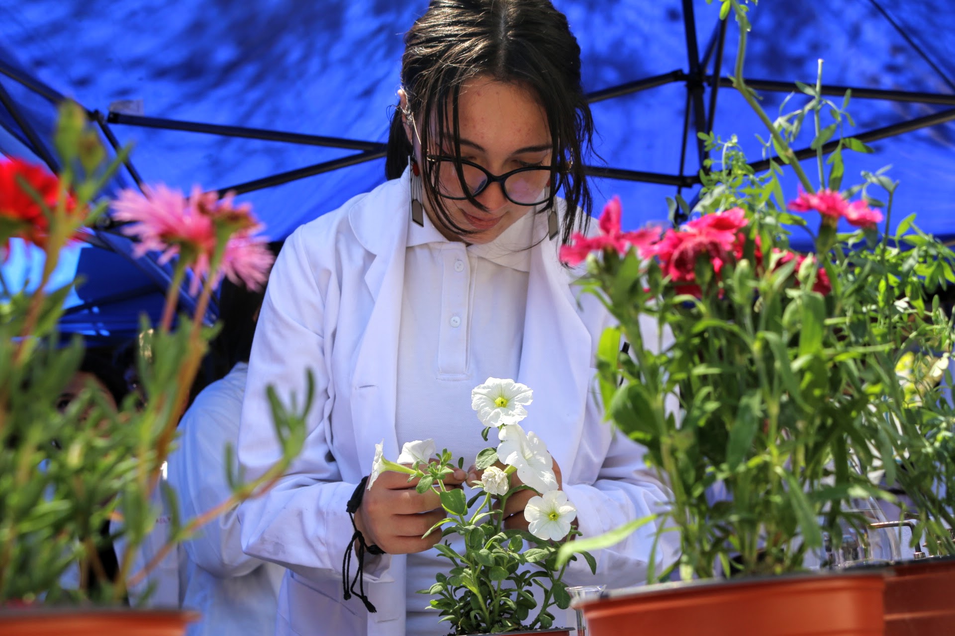 imagen Actividad desarrollada en la Facultad de Química y Biología permitió a estudiantes explorar la biodiversidad “sin la necesidad de tener un laboratorio”