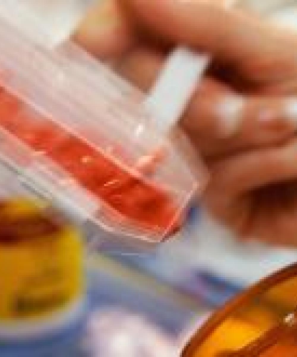 química y farmacia