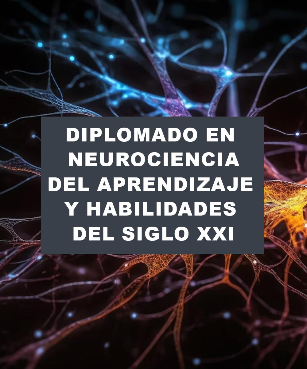 DIPLOMADO NEUROCIENCIA