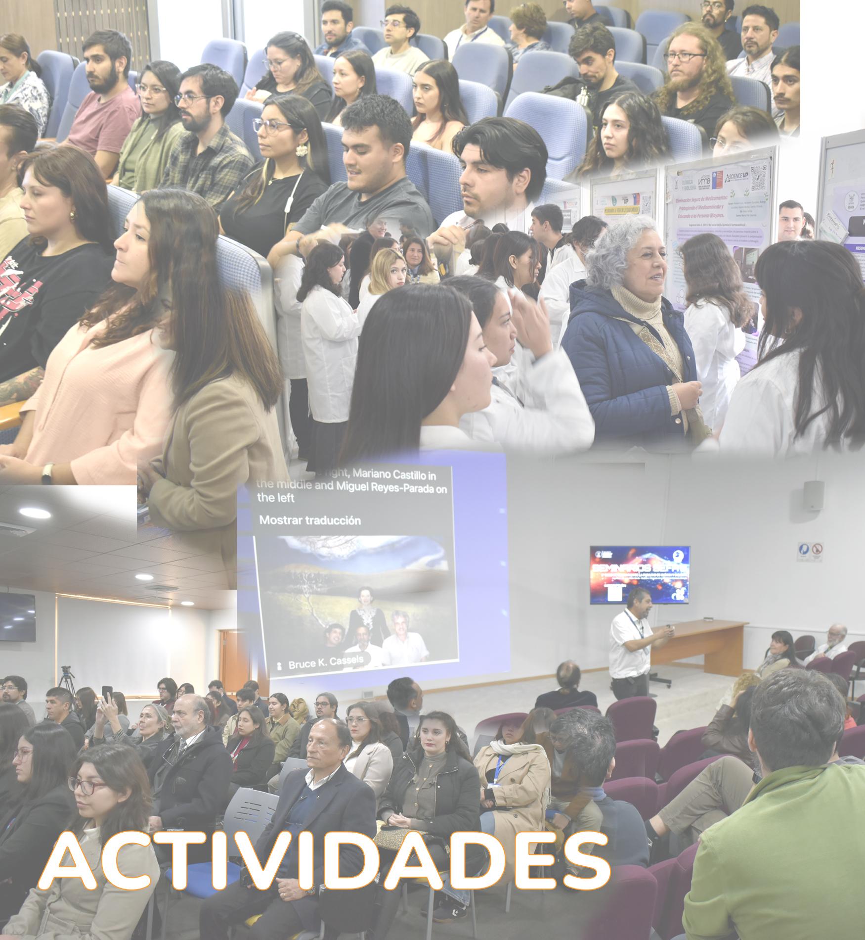 Actividades facultad