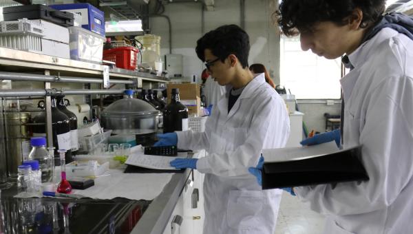 imagen Colegio Alexander Fleming y Facultad de Química y Biología promueven la investigación escolar a través del programa de pasantías